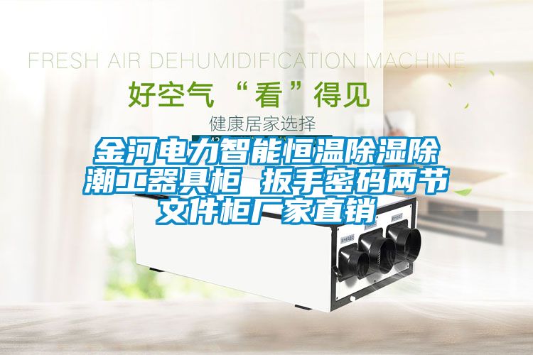 金河電力智能恒溫除濕除潮工器具柜 扳手密碼兩節文件柜廠家直銷