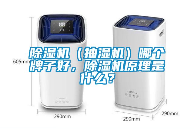 除濕機（抽濕機）哪個牌子好，除濕機原理是什么？