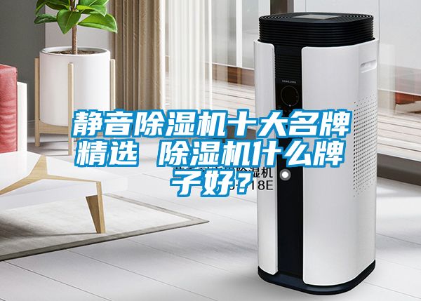 靜音除濕機十大名牌精選 除濕機什么牌子好？