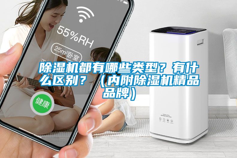 除濕機都有哪些類型？有什么區(qū)別？（內(nèi)附除濕機精品品牌）