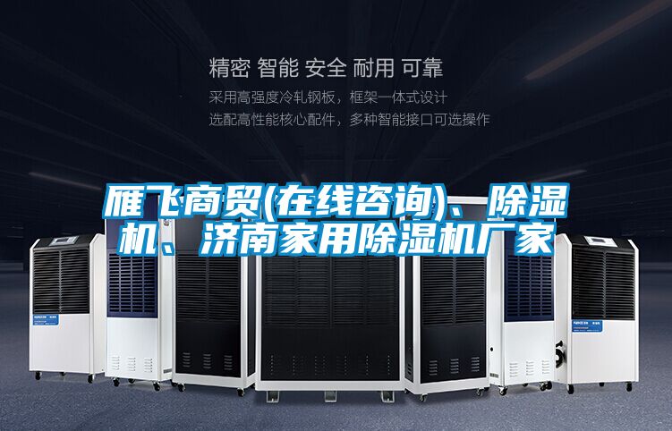 雁飛商貿(在線咨詢)、除濕機、濟南家用除濕機廠家