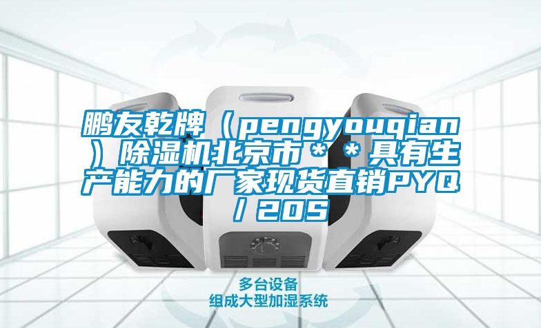 鵬友乾牌（pengyouqian）除濕機北京市＊＊具有生產能力的廠家現貨直銷PYQ／20S