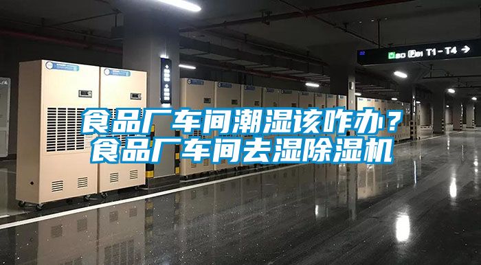 食品廠車間潮濕該咋辦？食品廠車間去濕除濕機