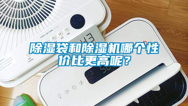 除濕袋和除濕機哪個性價比更高呢？