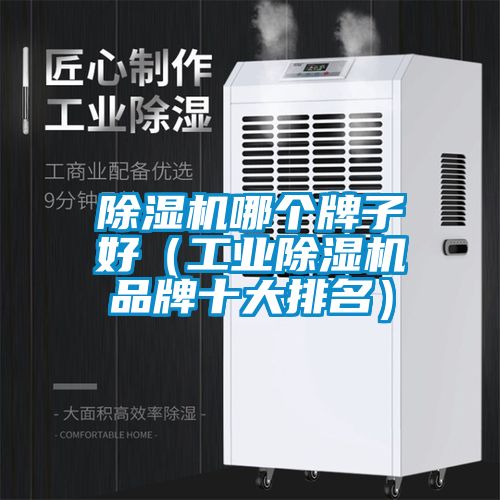 除濕機哪個牌子好（工業除濕機品牌十大排名）