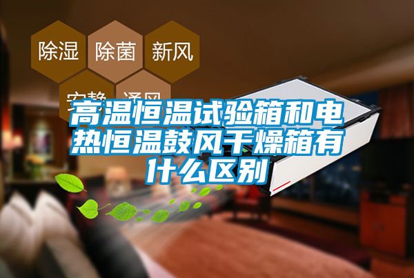 高溫恒溫試驗箱和電熱恒溫鼓風干燥箱有什么區別