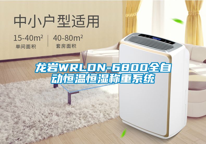 龍巖WRLDN-6800全自動恒溫恒濕稱重系統